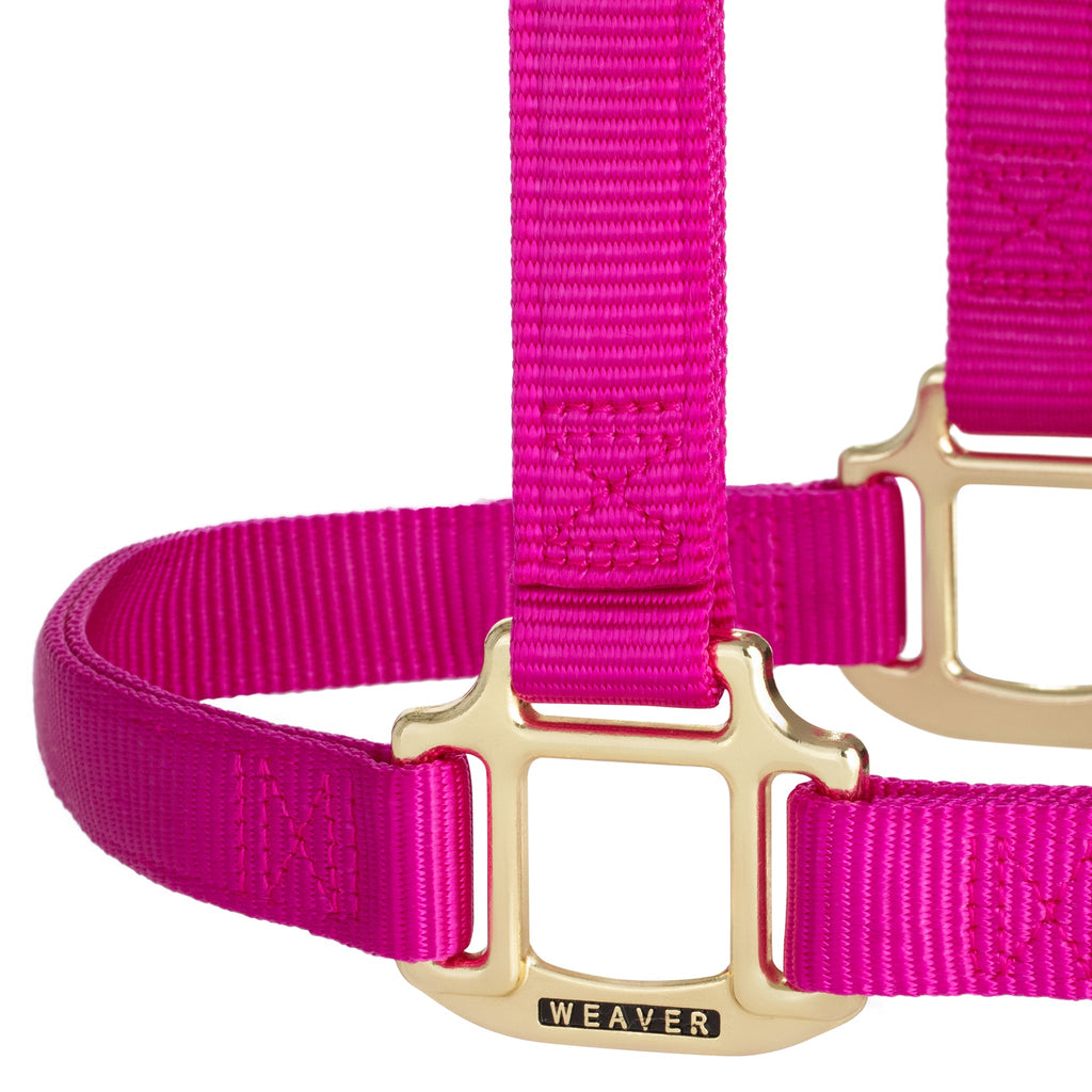 Nylon Horse Halter product image 39