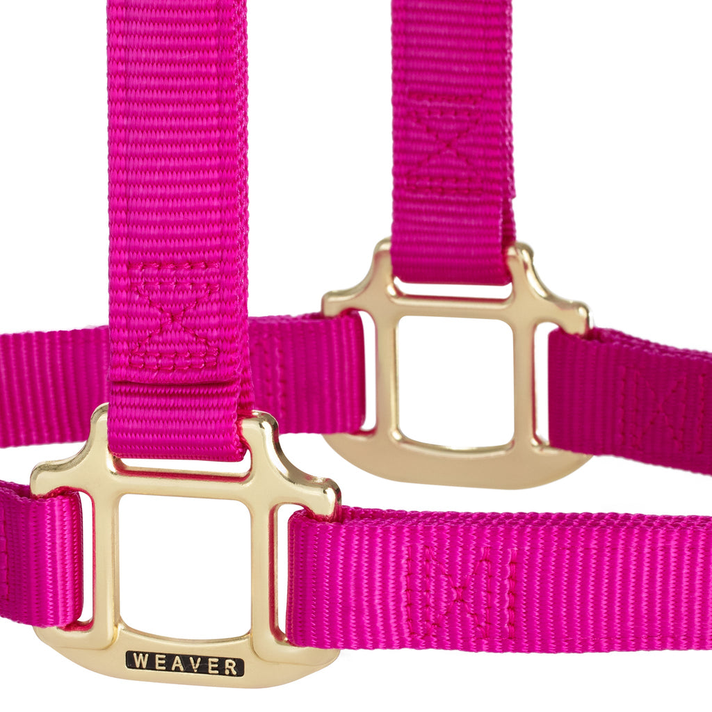 Nylon Horse Halter product image 40