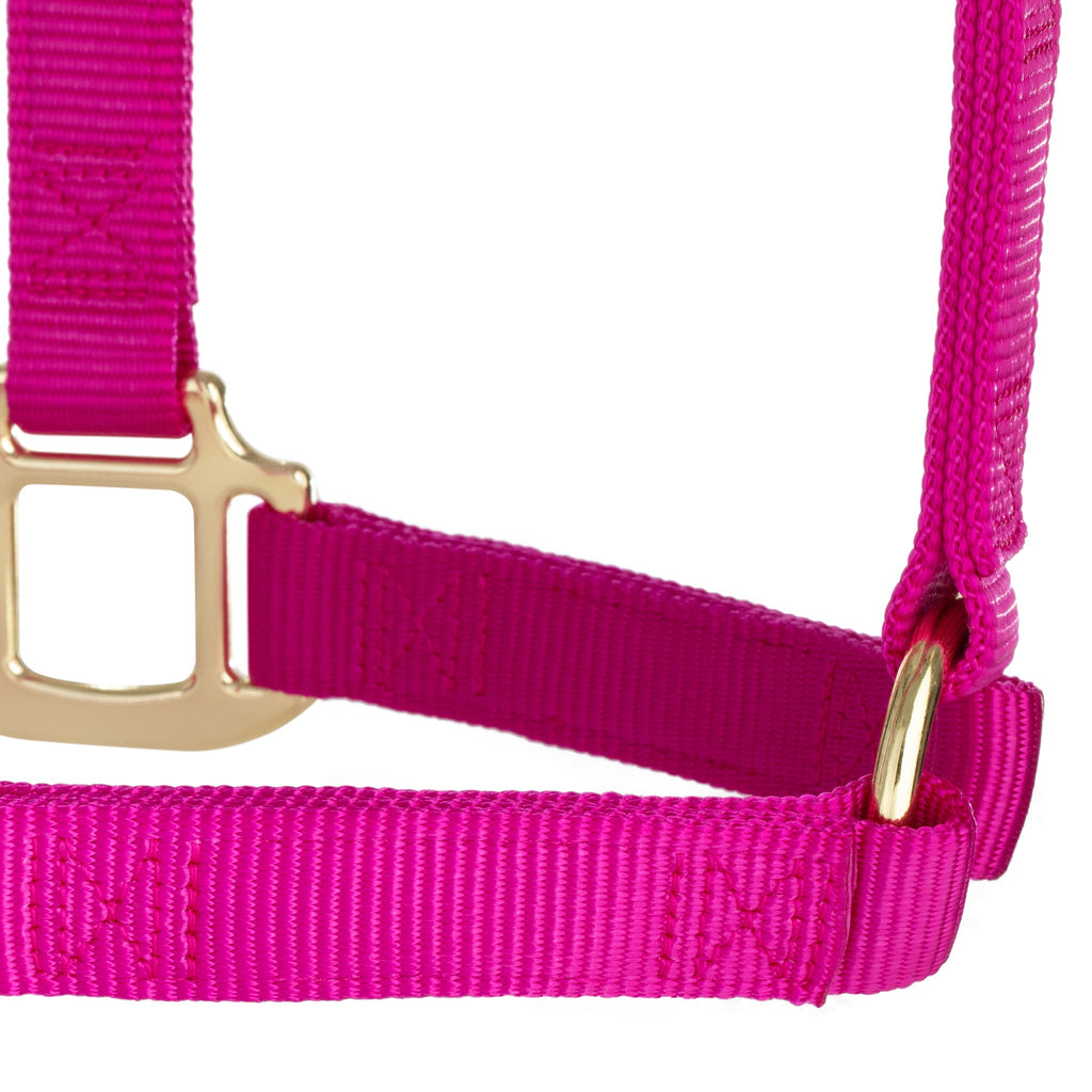 Nylon Horse Halter product image 41