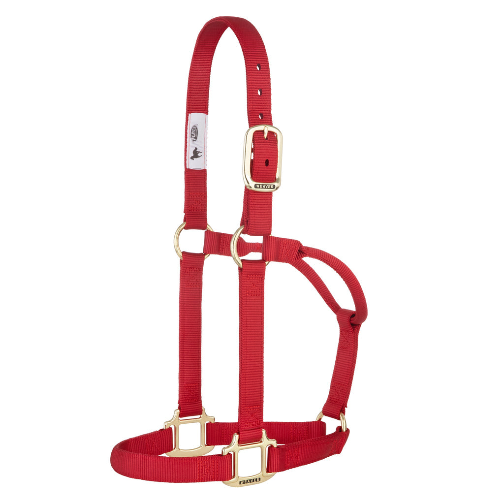 Nylon Horse Halter product image 44