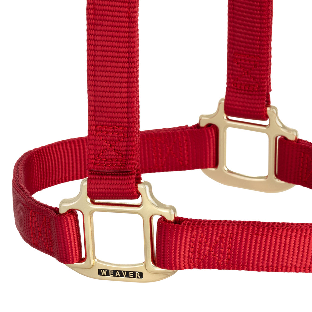 Nylon Horse Halter product image 45