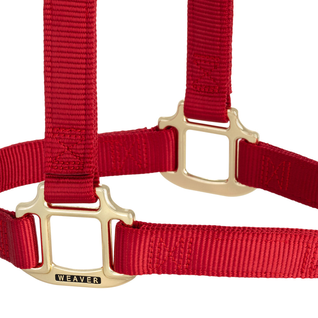 Nylon Horse Halter product image 46