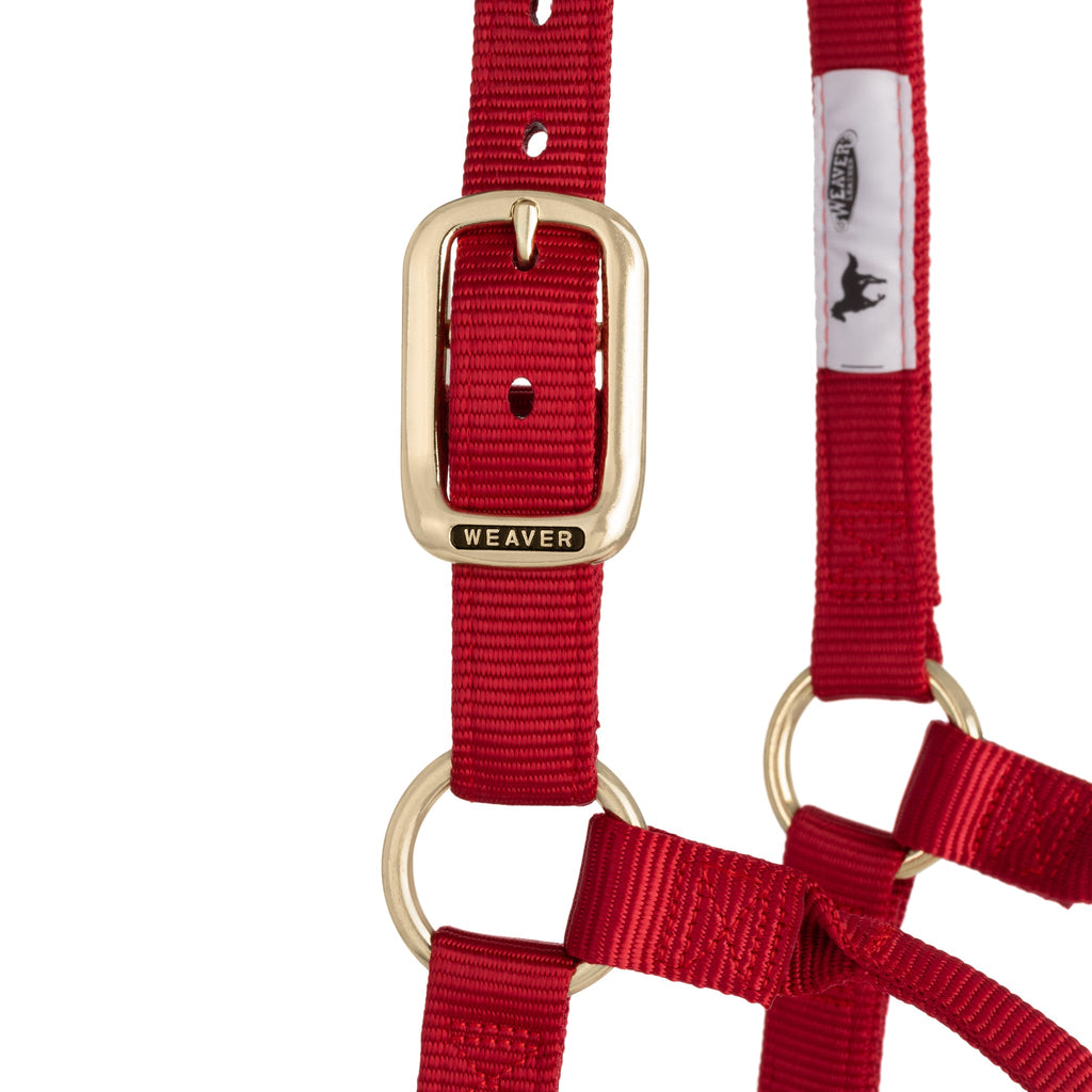 Nylon Horse Halter product image 48