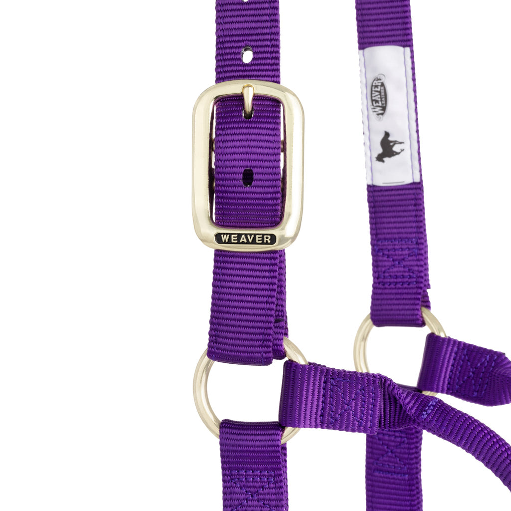 Nylon Horse Halter product image 57