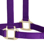 Nylon Horse Halter product image 59
