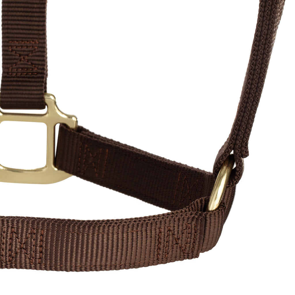 Nylon Horse Halter product image 71