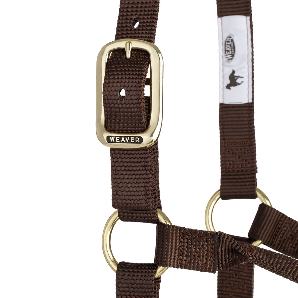 Nylon Horse Halter product image 72