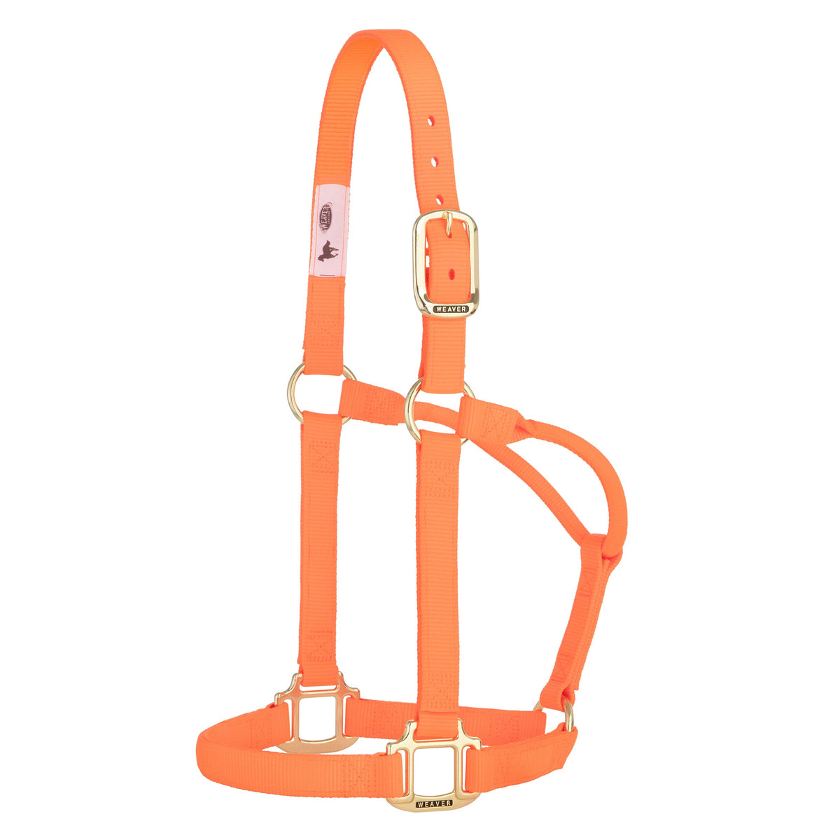 Nylon Horse Halter product image 74