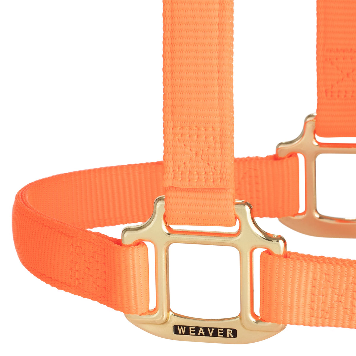 Nylon Horse Halter product image 75