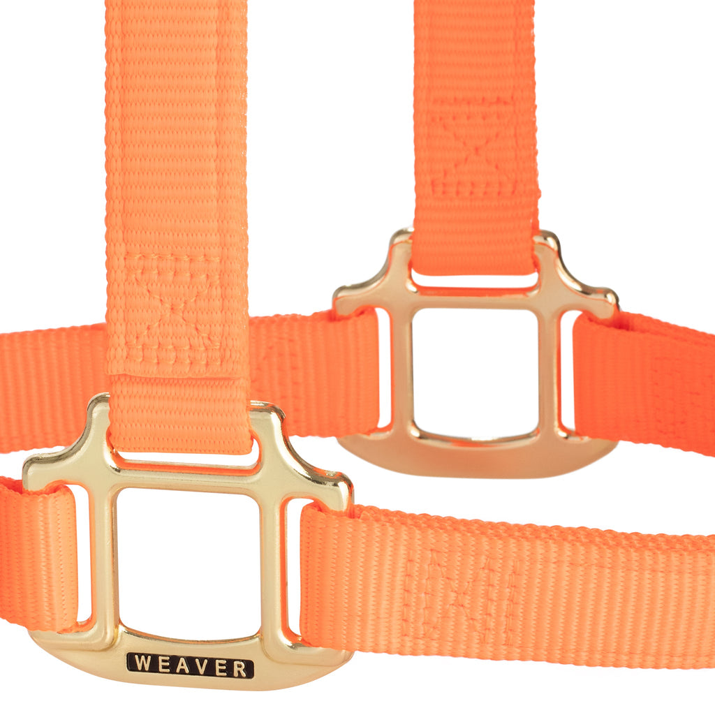Nylon Horse Halter product image 76