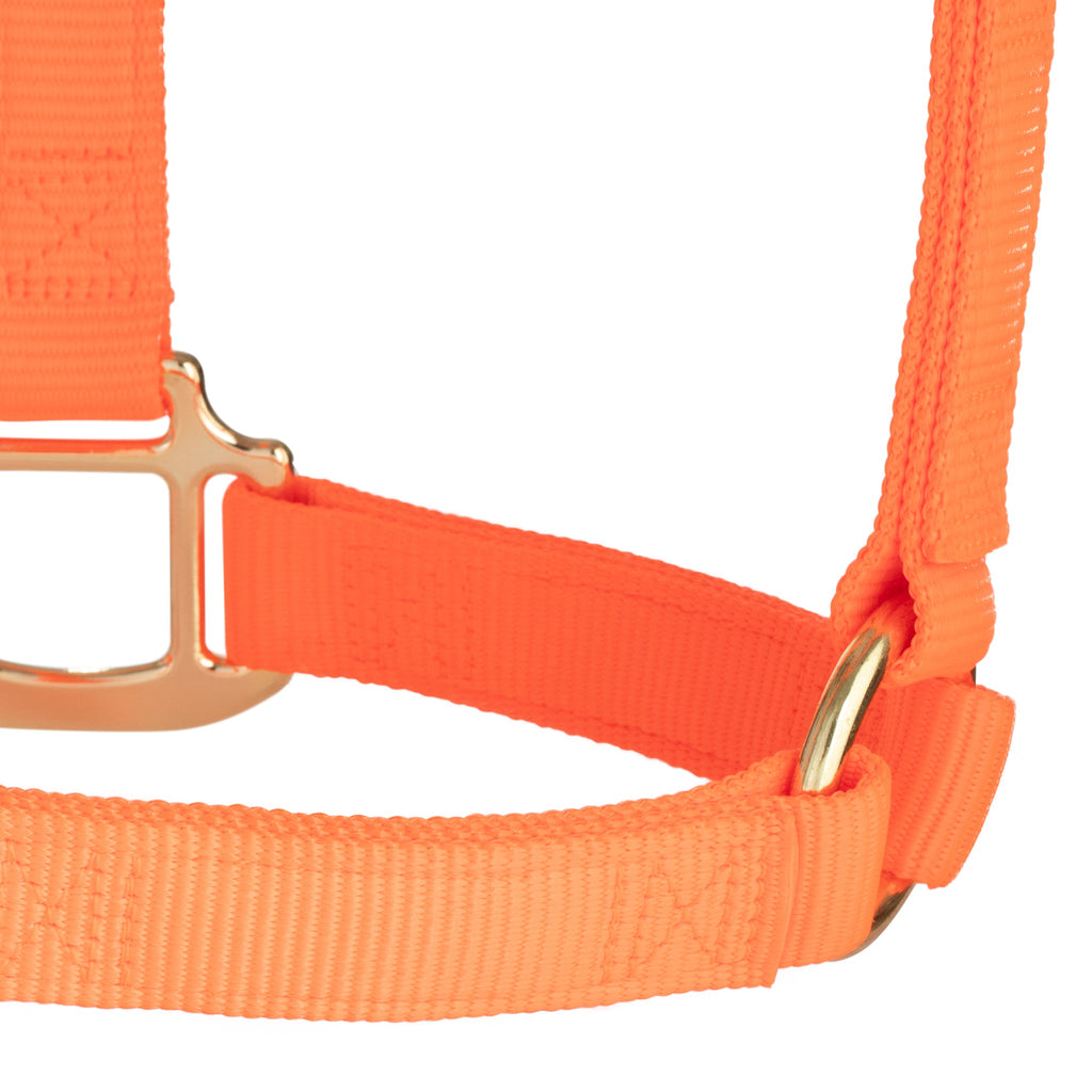 Nylon Horse Halter product image 77