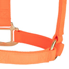 Nylon Horse Halter product image 77