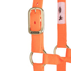 Nylon Horse Halter product image 78