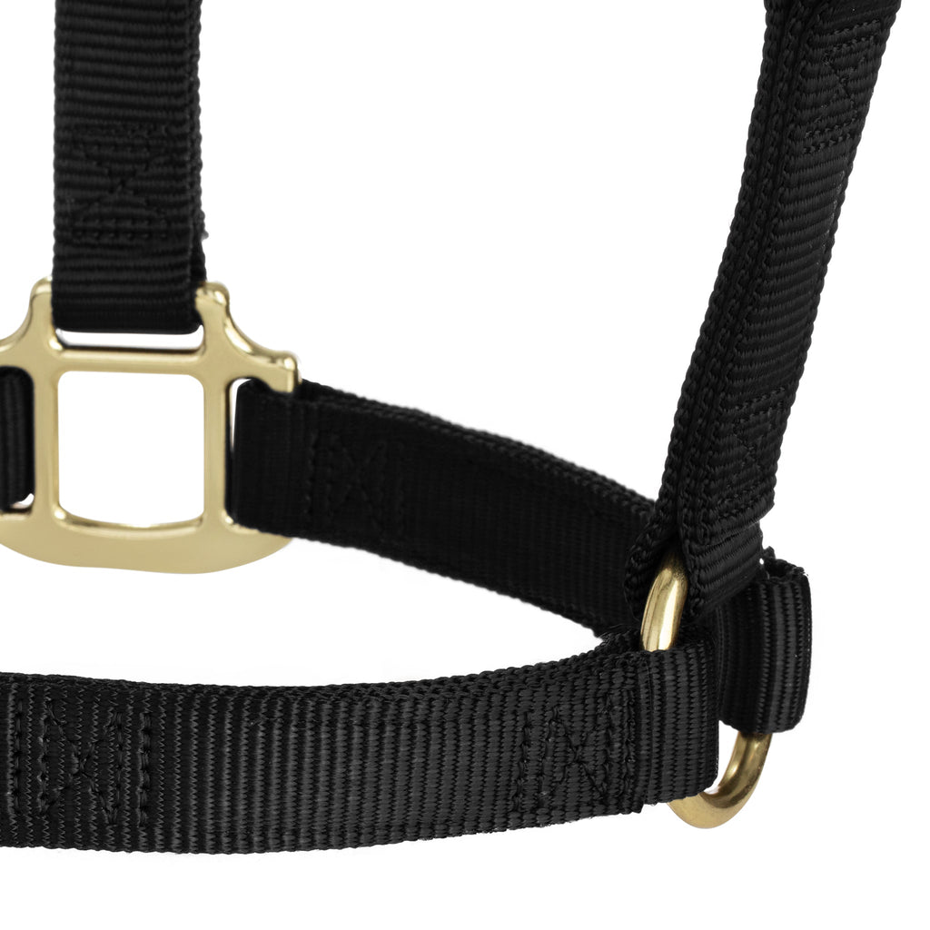 Nylon Horse Halter product image 83