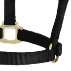Nylon Horse Halter product image 83