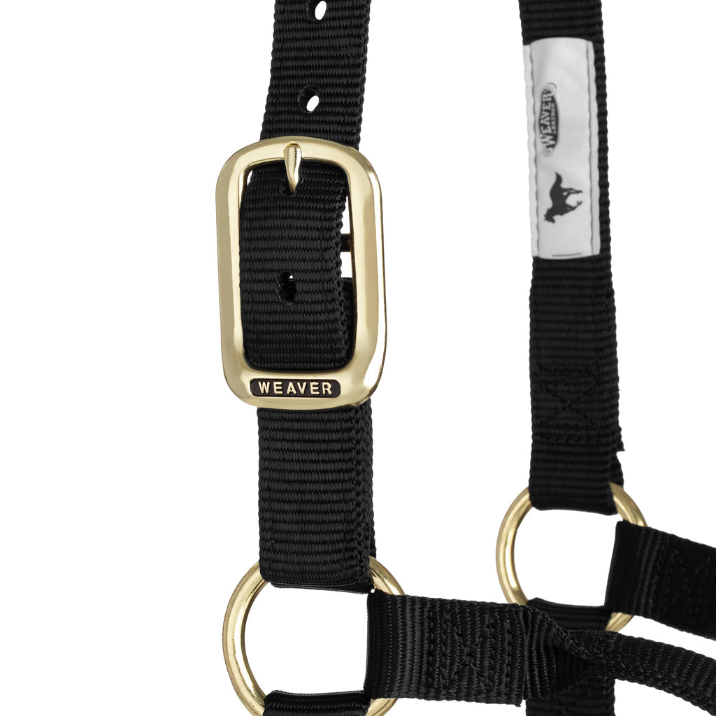 Nylon Horse Halter product image 84