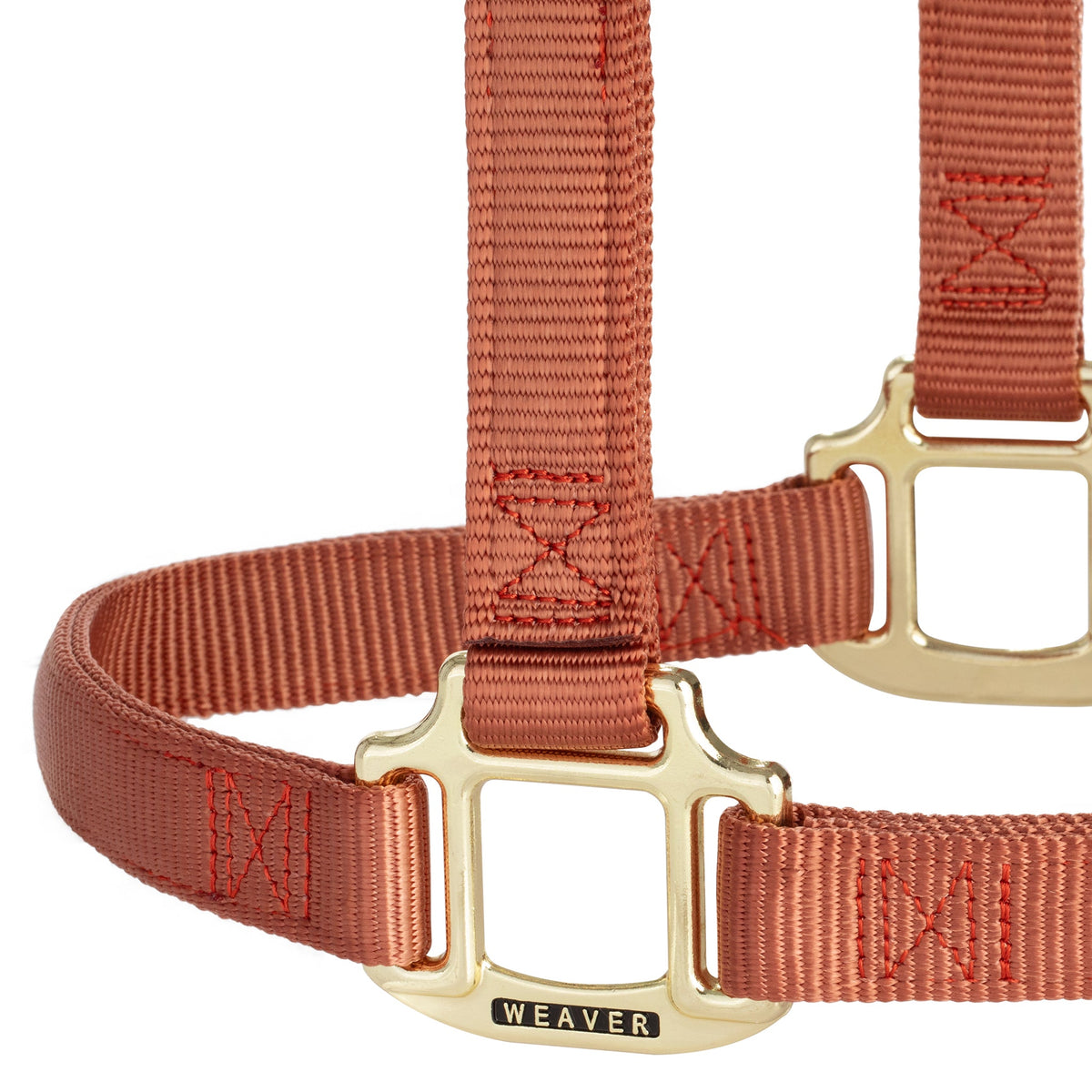 Nylon Horse Halter product image 87
