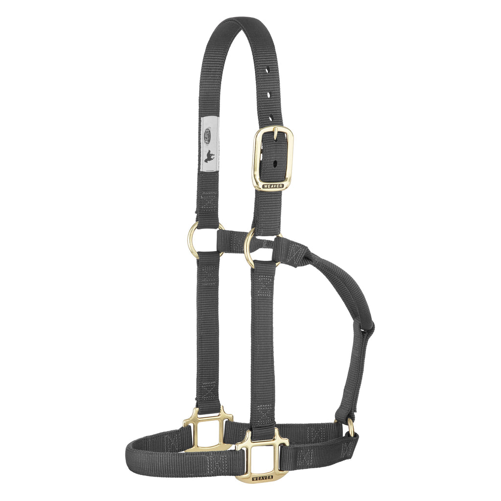 Nylon Horse Halter product image 92