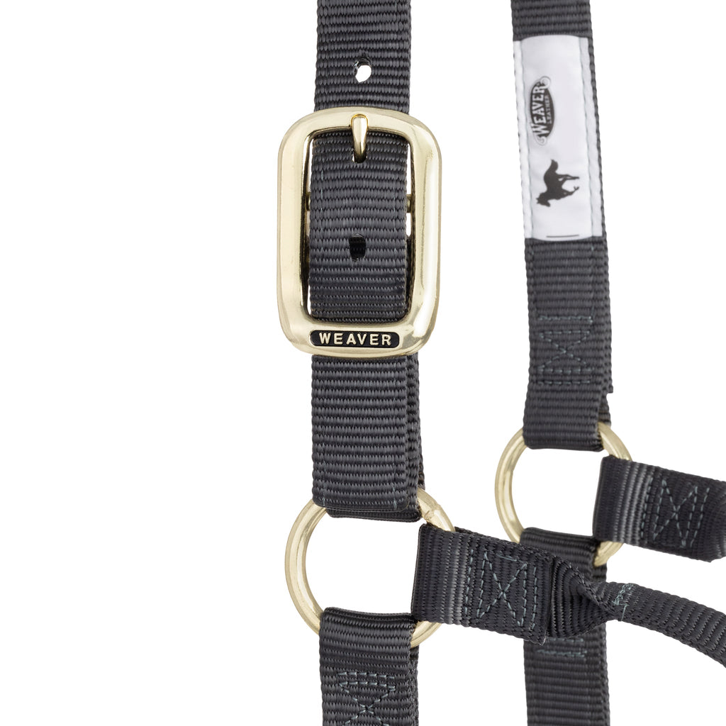 Nylon Horse Halter product image 96
