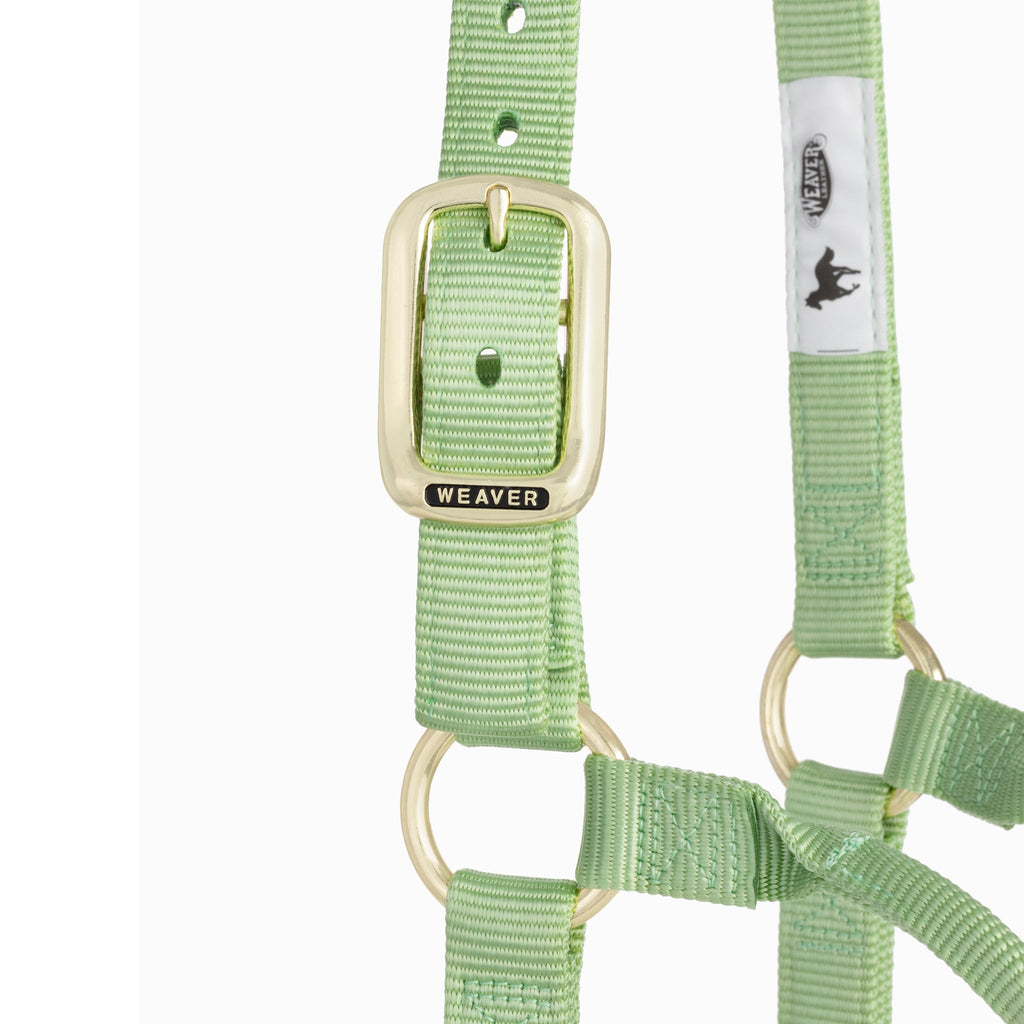 Nylon Horse Halter product image 114