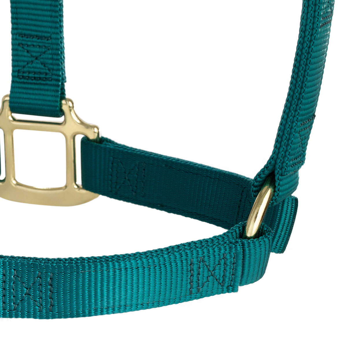 Nylon Horse Halter product image 119