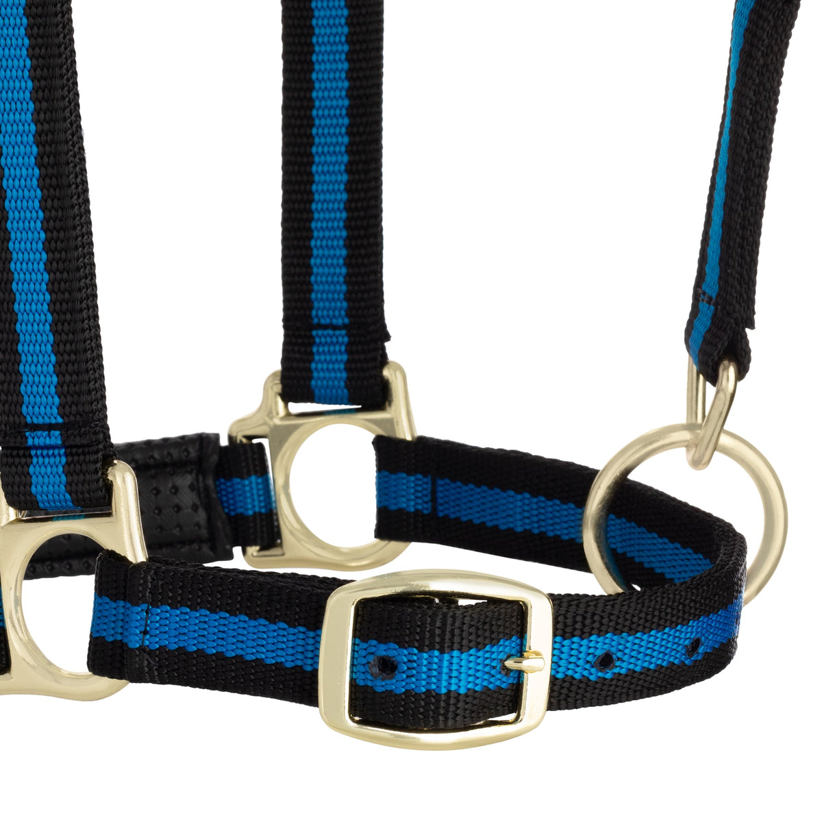 Horse Halter product image 11
