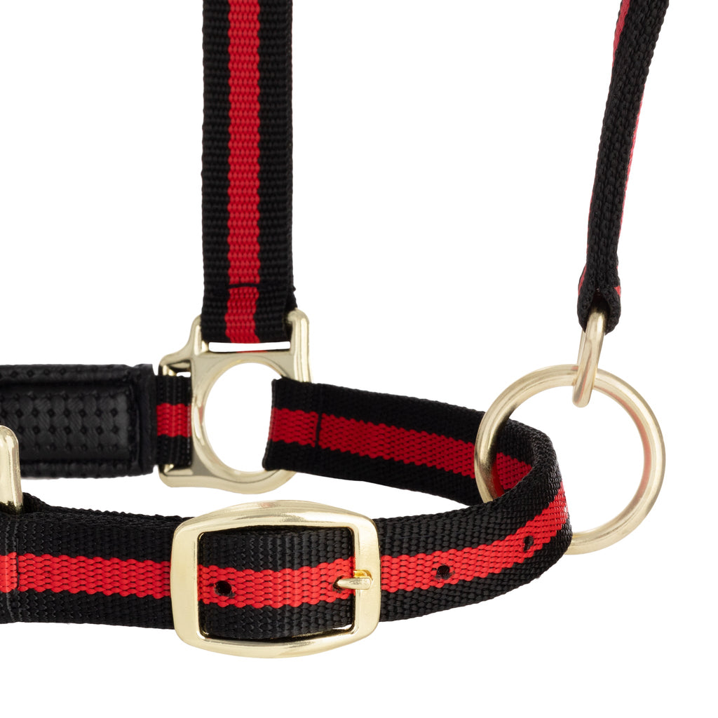 Horse Halter product image 17