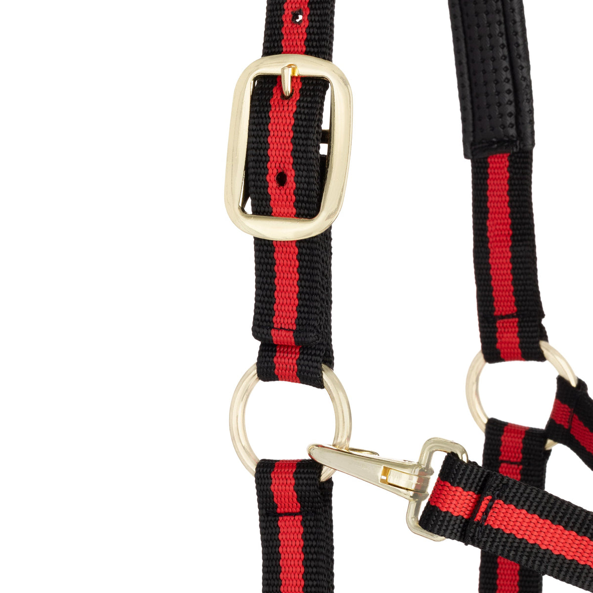 Horse Halter product image 18