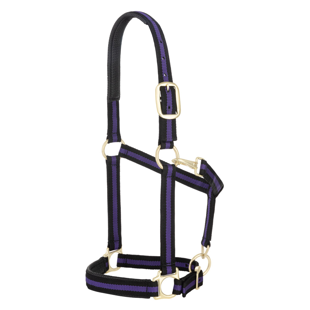 Horse Halter product image 20