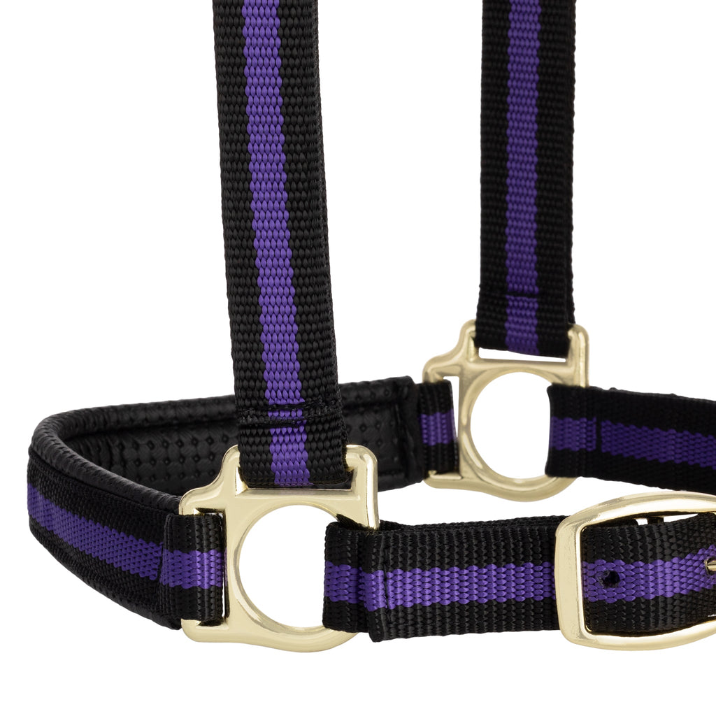 Horse Halter product image 21