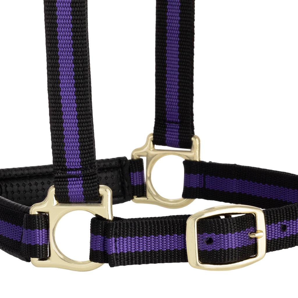 Horse Halter product image 22