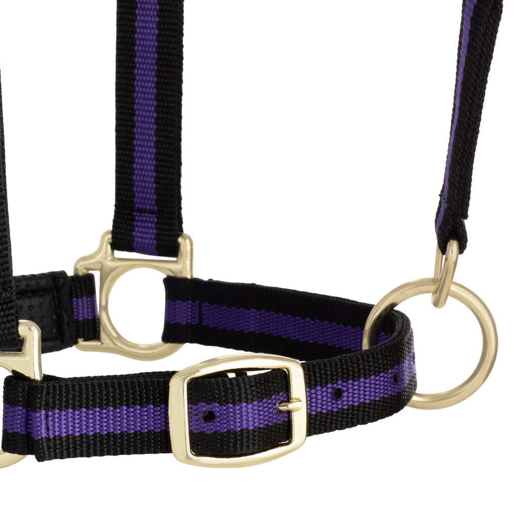 Horse Halter product image 23