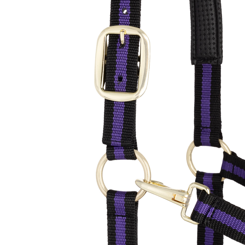 Horse Halter product image 24