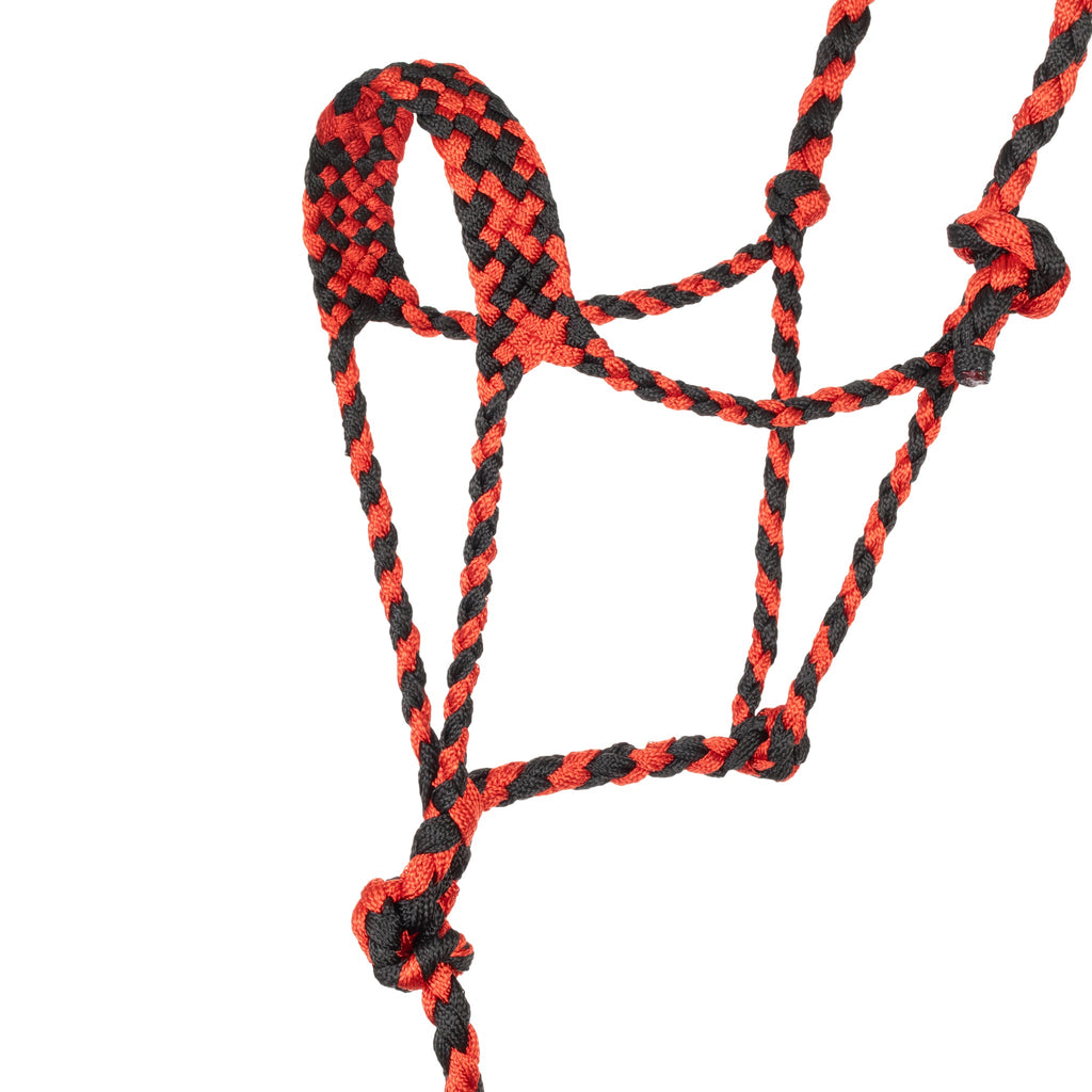 Rope Halter product image 4