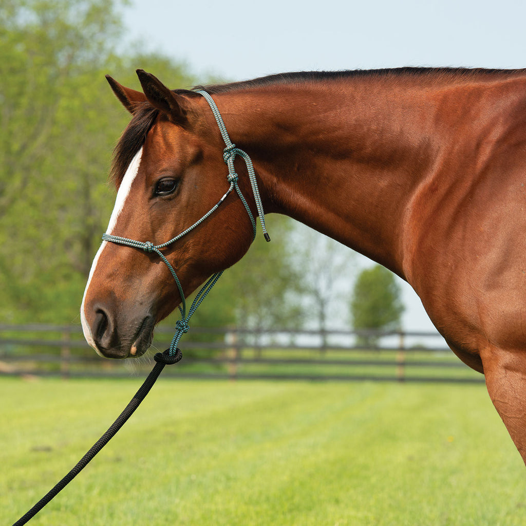Rope Halter product image 12