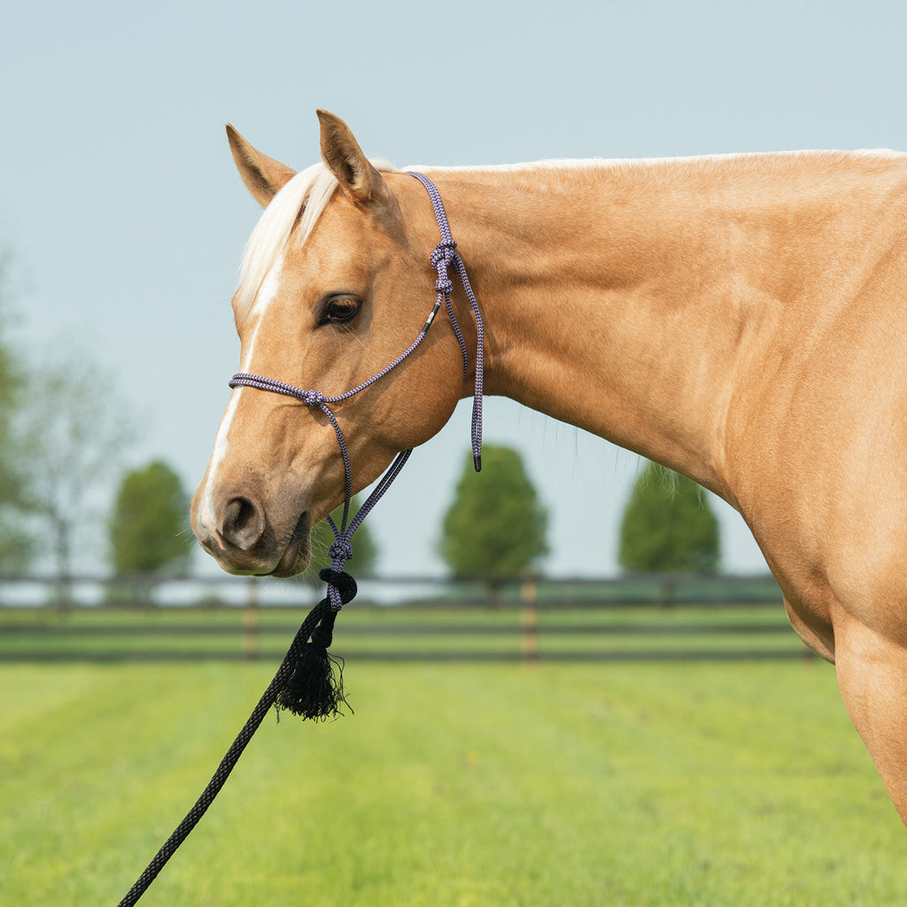 Rope Halter product image 14