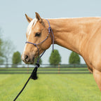 Rope Halter product image 14