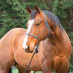 Rope Halter product image 15