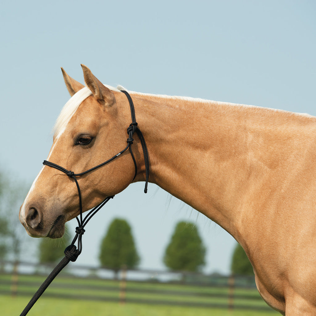 Rope Halter product image 17