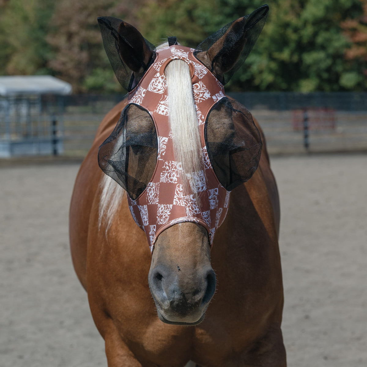 Horse Fly Mask product image 6