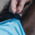 Horse Fly Mask product image 14