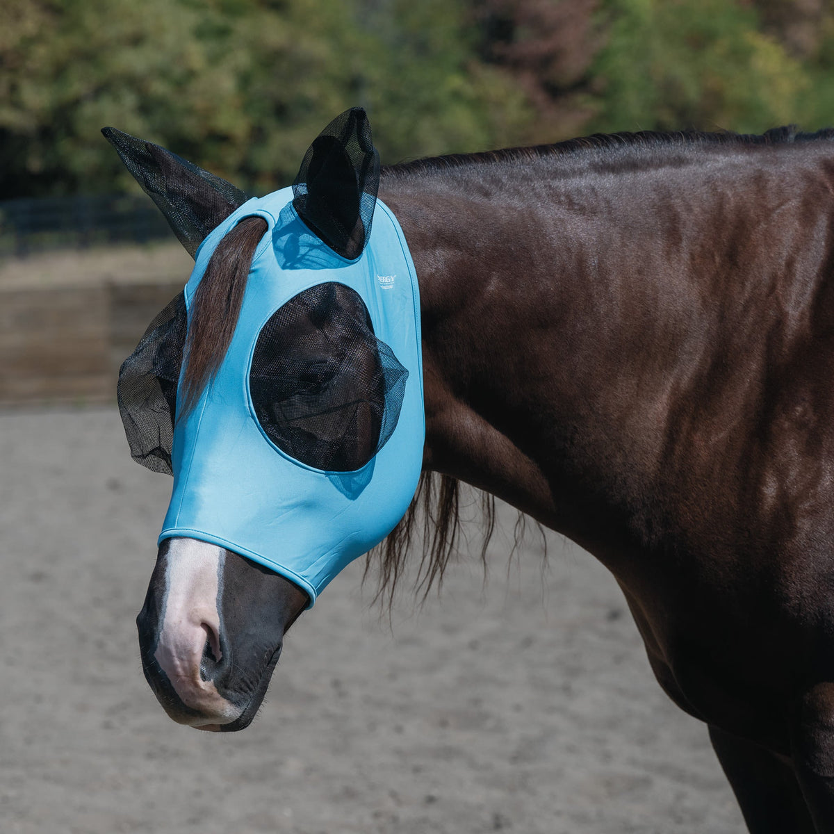 Horse Fly Mask product image 15