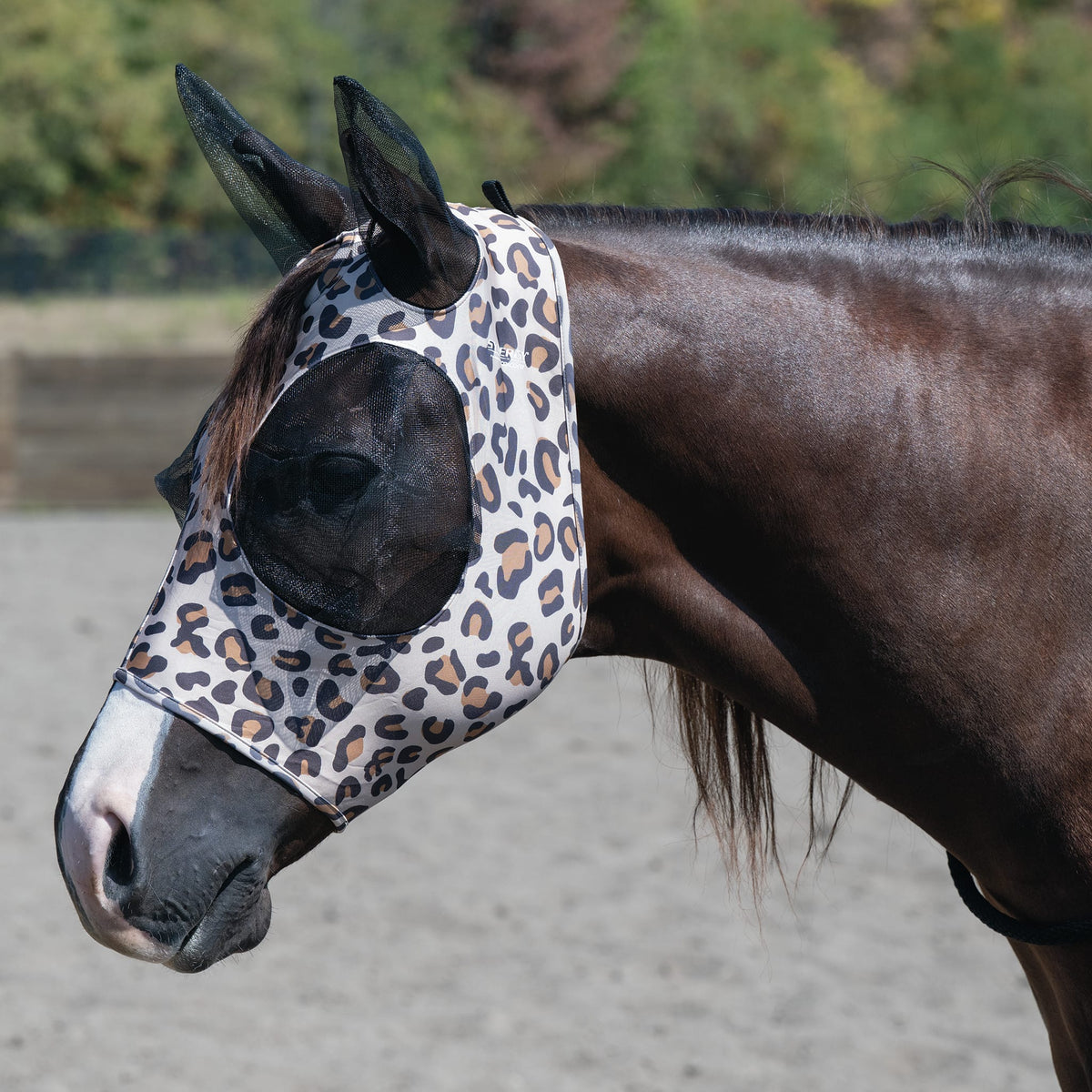 Horse Fly Mask product image 17