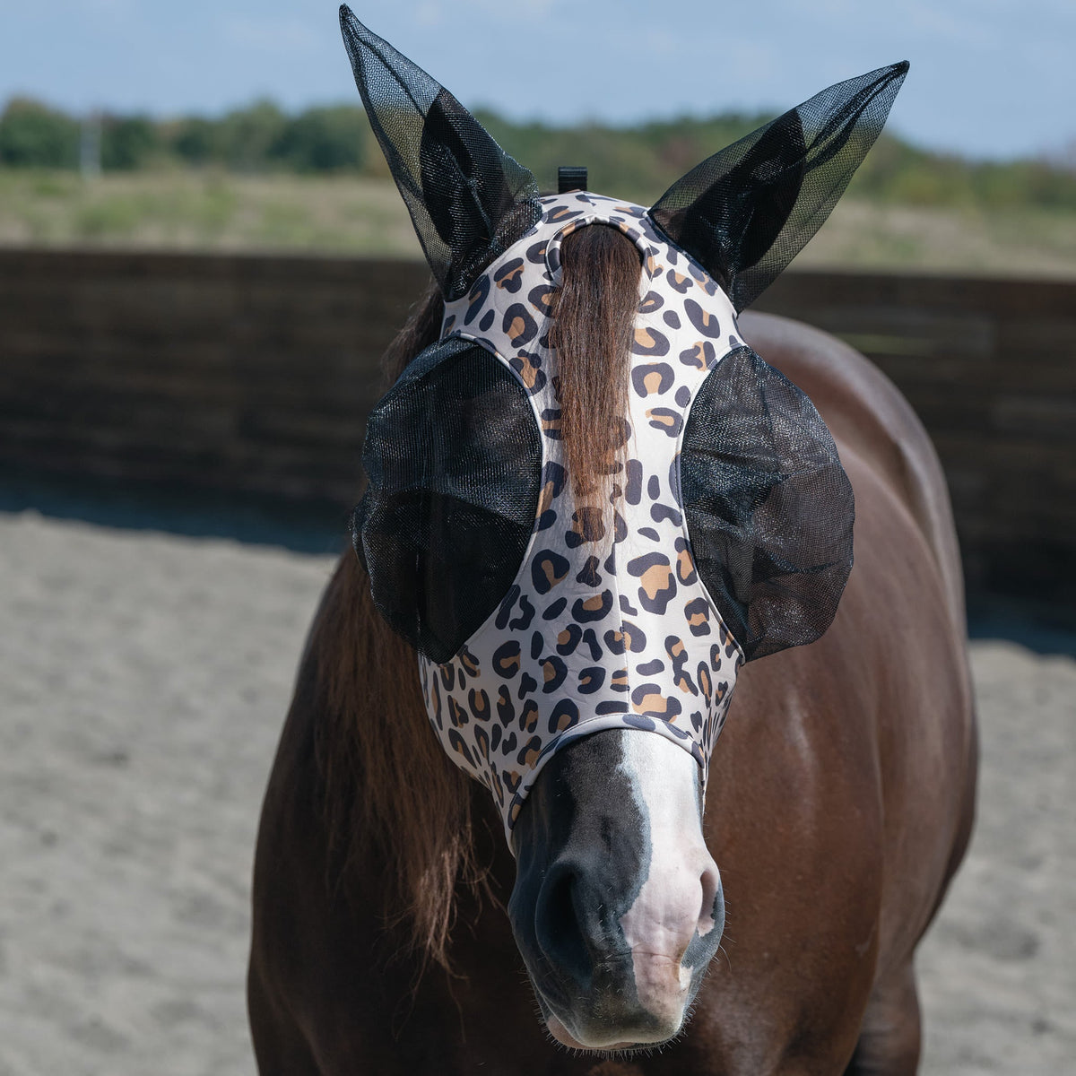 Horse Fly Mask product image 21