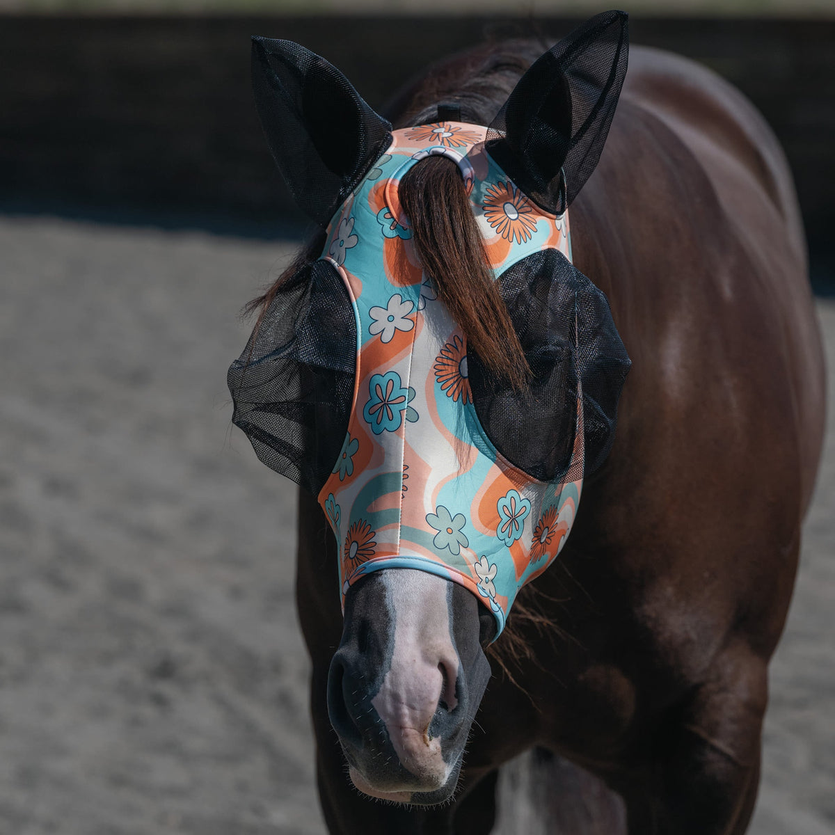Horse Fly Mask product image 29