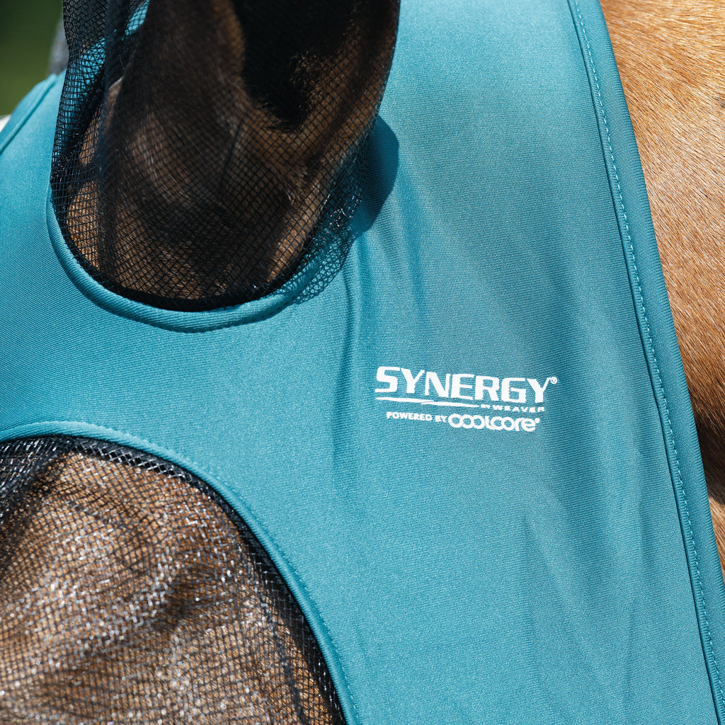 Horse Fly Mask product image 31
