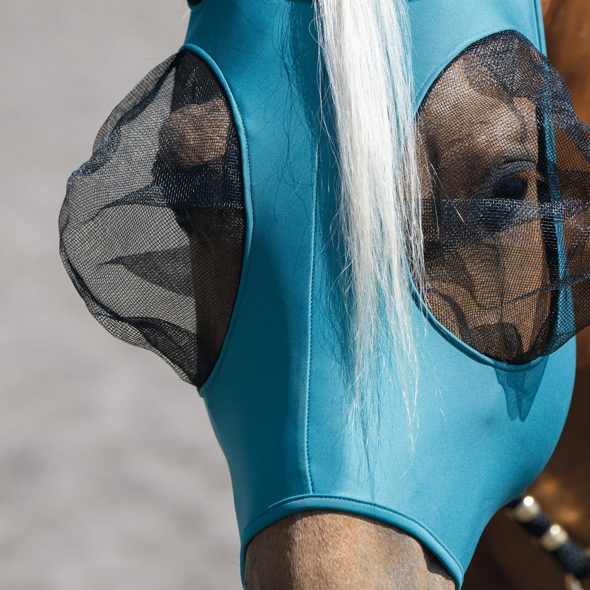 Horse Fly Mask product image 32