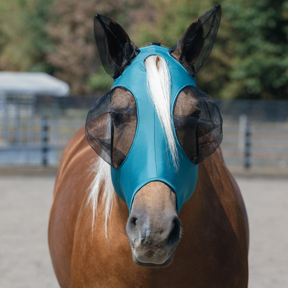 Horse Fly Mask product image 35