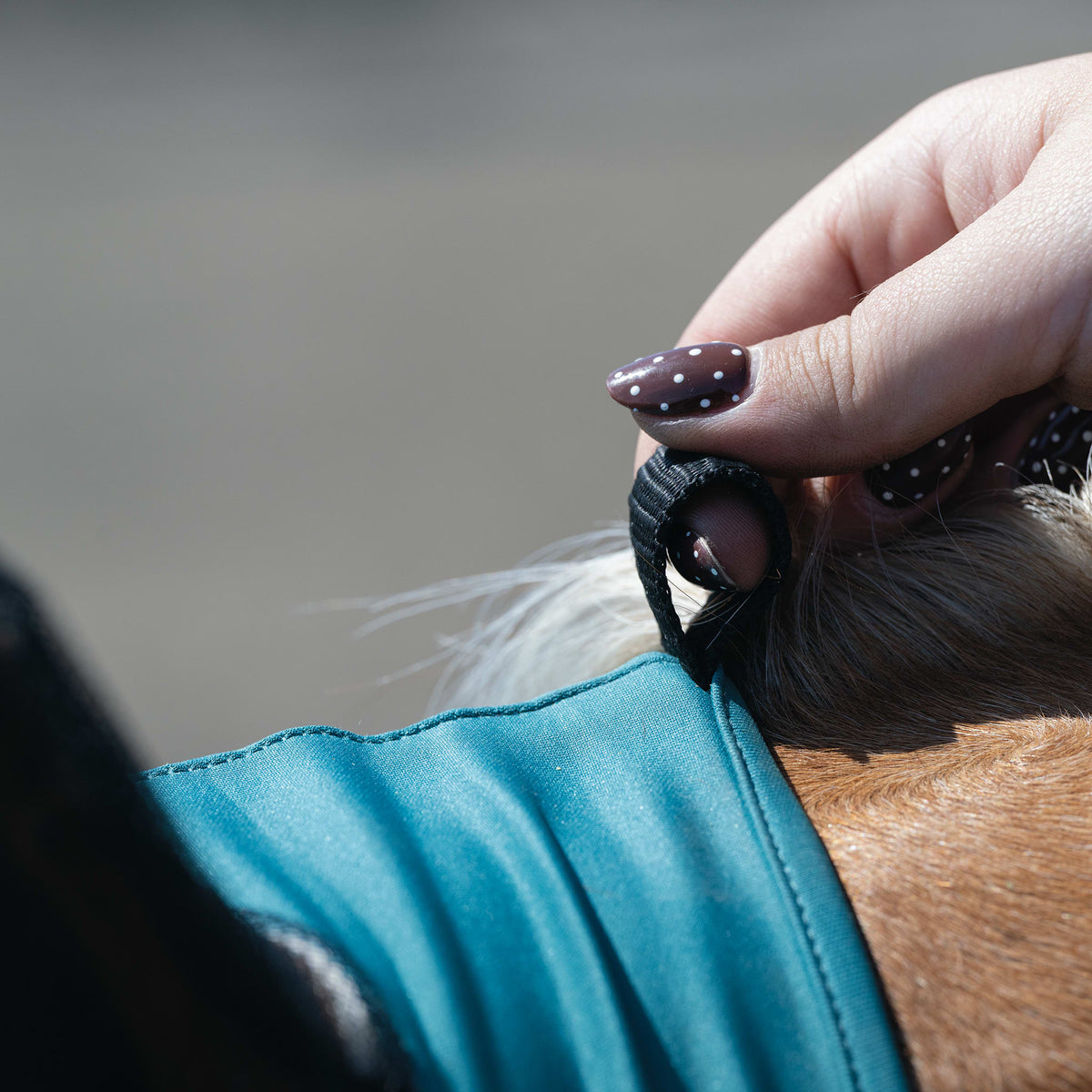 Horse Fly Mask product image 36