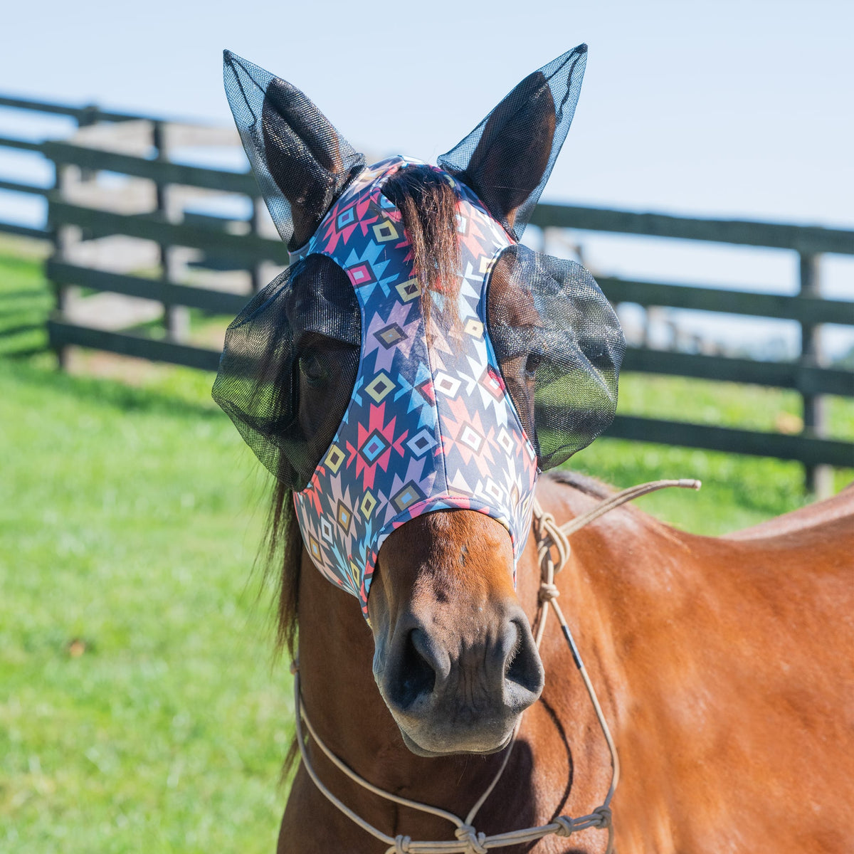 Horse Fly Mask product image 38